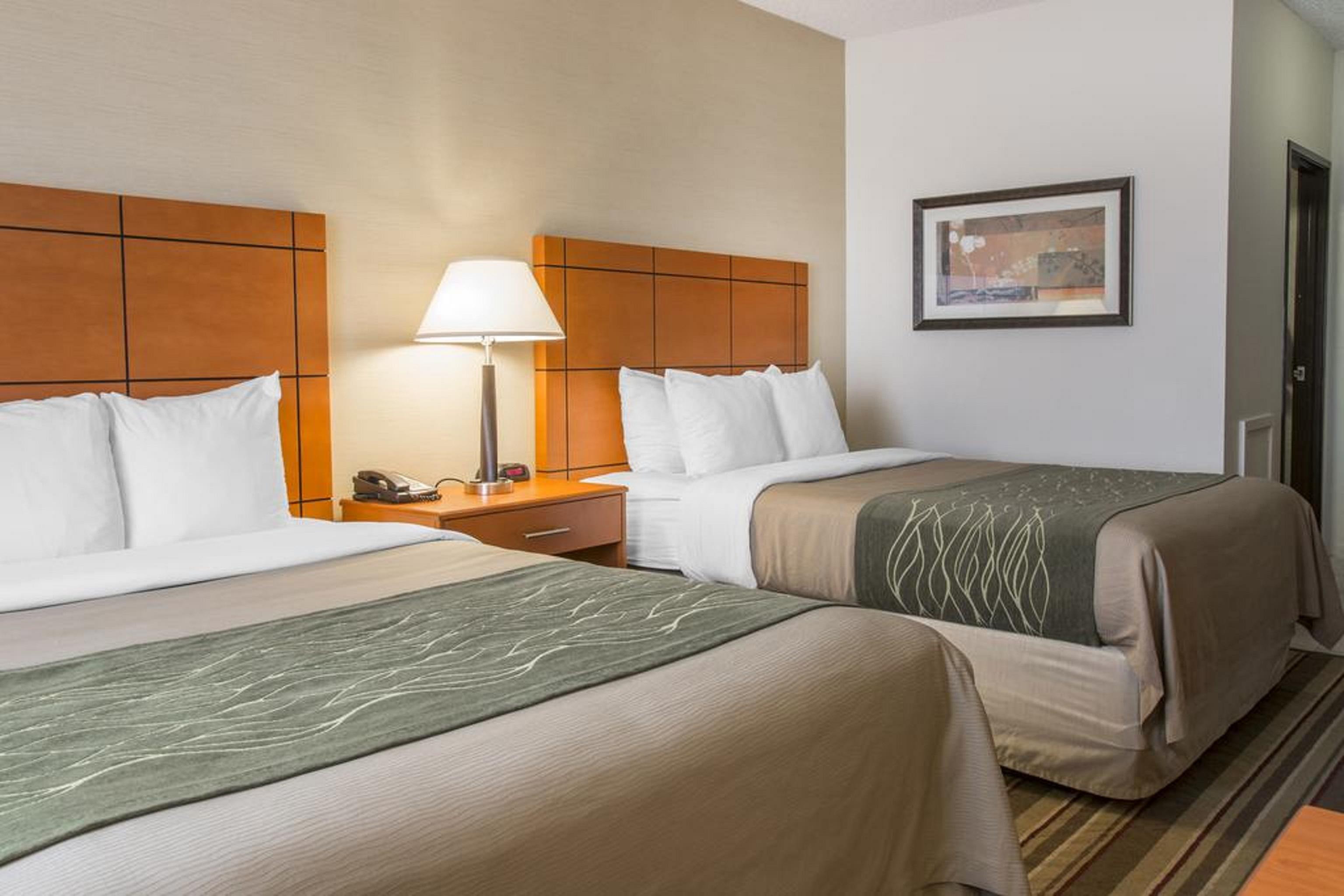 Comfort Inn Metro Airport Ромулус Экстерьер фото
