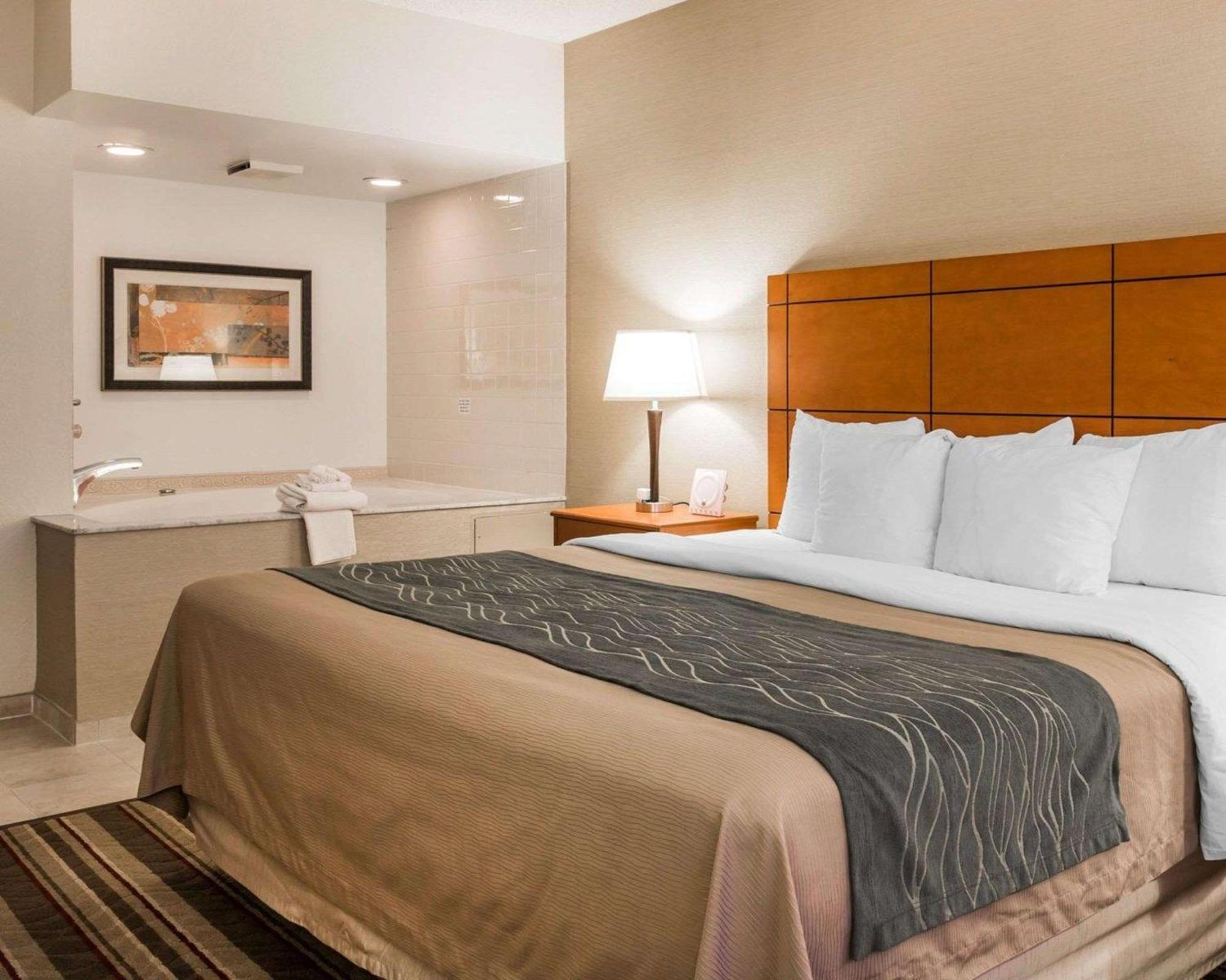 Comfort Inn Metro Airport Ромулус Экстерьер фото