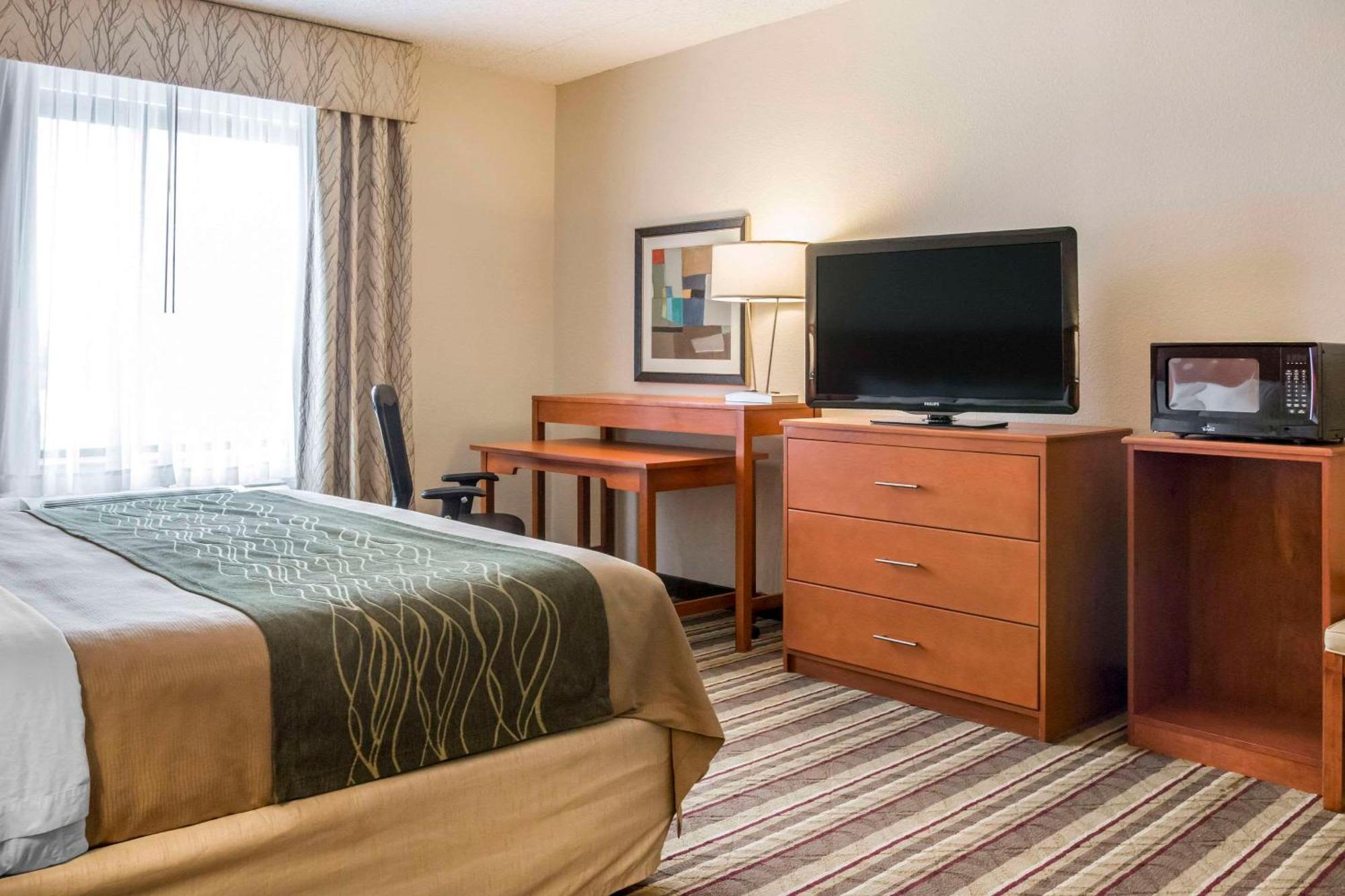 Comfort Inn Metro Airport Ромулус Экстерьер фото