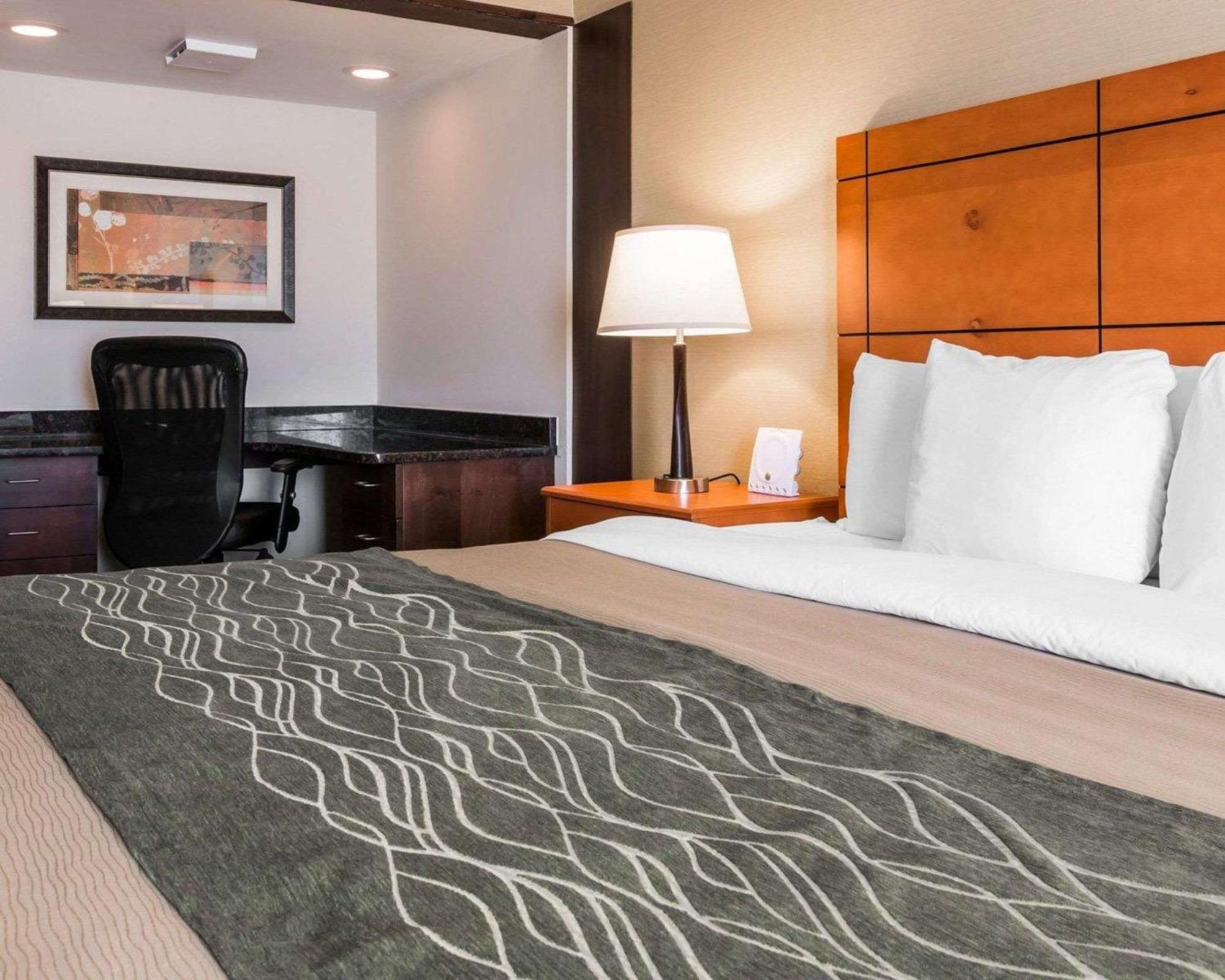 Comfort Inn Metro Airport Ромулус Экстерьер фото